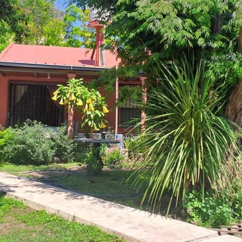 IMG-20241030-WA0081-1