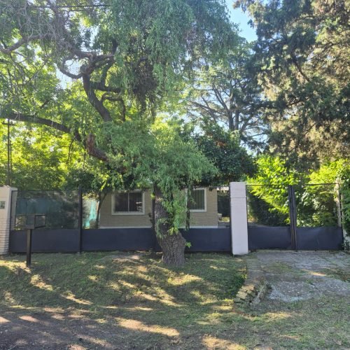 WhatsApp Image 2025-11-17 at 08.58.26